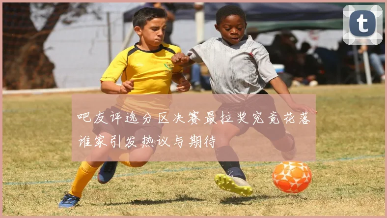 吧友评选分区决赛最拉奖究竟花落谁家引发热议与期待